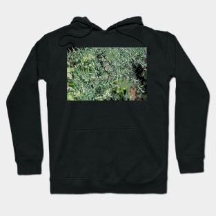 Green Thorns Hoodie